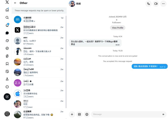 A screenshot of a Twitter/X direct messages interface showing the 'Other' message requests folder on the left and an active conversation in Chinese on the right, with a contact who joined in December 2024.