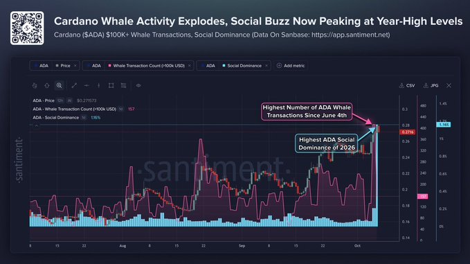 A financial chart titled 'Cardano Whale Activity Explodes, Social Buzz Now Peaking at Year-High Levels' displays ADA price at $0.275773, with callouts highlighting the 'Highest Number of ADA Whale Transactions Since June 4th' and 'Highest ADA Social Dominance in 2026' from Santiment data.