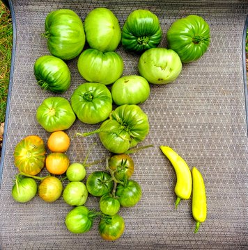 A harvest of fresh produce laid out on a textured brown surface, including large green heirloom tomatoes, smaller yellow and orange tomatoes still on the vine, and two yellow peppers.
