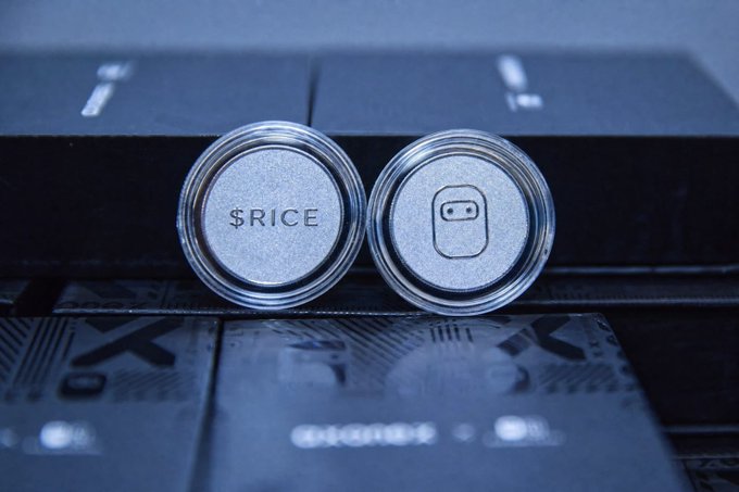 Two coin-like tokens featuring the engraved text "$RICE" and a wallet/connect icon sit atop black boxes labeled "FLOKI," visually linking the $RICE token's promotional post about FLOKI Minibots and its Binance Alpha launch to the FLOKI brand.