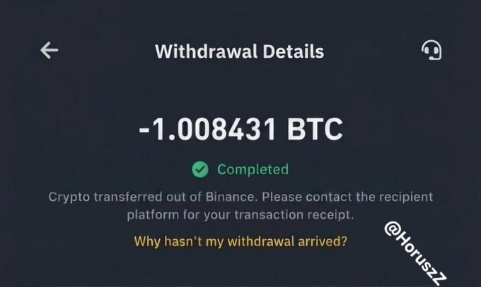 A mobile screen displays a 'Withdrawal Details' confirmation showing a completed transaction of -1.008431 BTC transferred out of Binance, with a watermark @HodiszZ visible.
