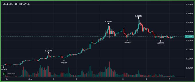 A 1-hour candlestick chart of USELESS/USDT on Binance showing price action from late August through September, with key levels marked at $0.05797, $0.12600, $0.09788, $0.28790, $0.31946, $0.21100, and $0.20588, currently trading around $0.22835. The chart visually supports the poster's bullish case by highlighting the current price zone as a dip from the $0.31+ highs, which he frames as a buying opportunity before a potential run toward his $300M-$400M market cap target.