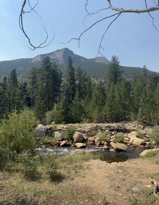 A scenic landscape photo featuring a rocky stream, dense pine forest, and a mountain peak under a clear blue sky, framed by bare tree branches in the foreground.