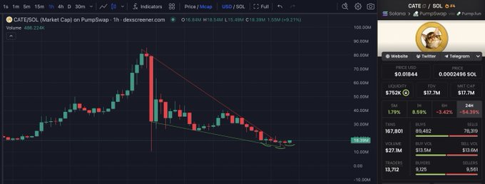 A TradingView chart displaying the CATE/SOL pair on PumpSwap with a 1-hour timeframe, showing a sharp price spike followed by a steep decline to around $0.01844, with a 24-hour loss of 64.35%. The chart features candlesticks, moving averages, and a downward trendline indicating bearish momentum for the CATE memecoin.