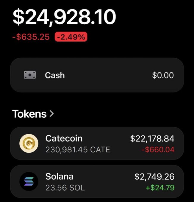A crypto wallet screenshot displays a portfolio totaling $24,928.10 (down 2.49%/-$635.25), showing $0 cash, 230,981.45 CATE valued at $22,178.84 (down $660.04), and 23.56 SOL worth $2,749.26 (up $24.79). The image illustrates the poster's apparent gains in Catecoin alongside a Solana balance, used to back claims of retirement-level wealth and solicit SOL wallet addresses from retweeters.