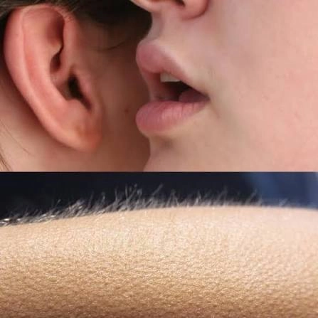 A close-up of a person whispering into another's ear (top) paired with an image of goosebumps on an arm (bottom), illustrating the literal phrase "hearing something that gives you goosebumps."