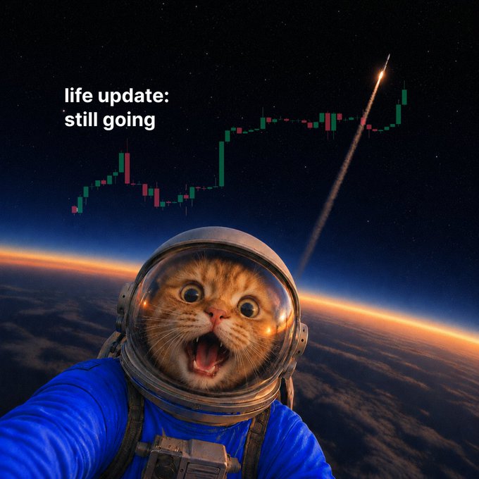 An orange cat in an astronaut helmet appears shocked against a backdrop of space with Earth's horizon, overlaid with a green and red candlestick stock chart showing an upward trend and a rocket trajectory. The text "life update: still going" appears in the upper left, humorously capturing the cat's overwhelmed reaction as SpaceX shares rally 40% off recent lows in just five trading sessions.