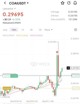 A WEEX exchange chart for COAIUSDT showing a last price of 0.29695, up 6.55%, on a 15-minute timeframe with a sharp price spike visible.