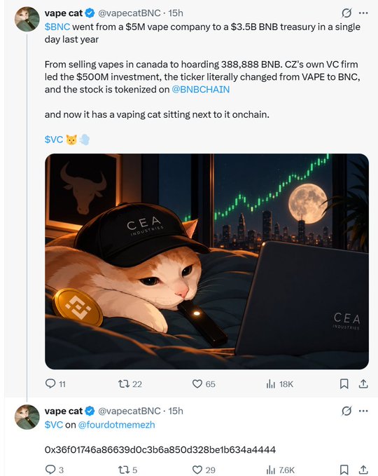 A tweet from @vapecatBNC describes how $BNC (formerly CEA Industries) transformed from a $5M Canadian vape company to a $3.5B BNB treasury company after a CZ-led $500M investment, featuring an AI-generated image of an orange cat wearing a "CEA INDUSTRIES" cap next to a laptop under a bull market chart, with a follow-up tweet pointing to $VC's contract address 0x36f01746a86639d0c3b6a850d328be1b634a4444.