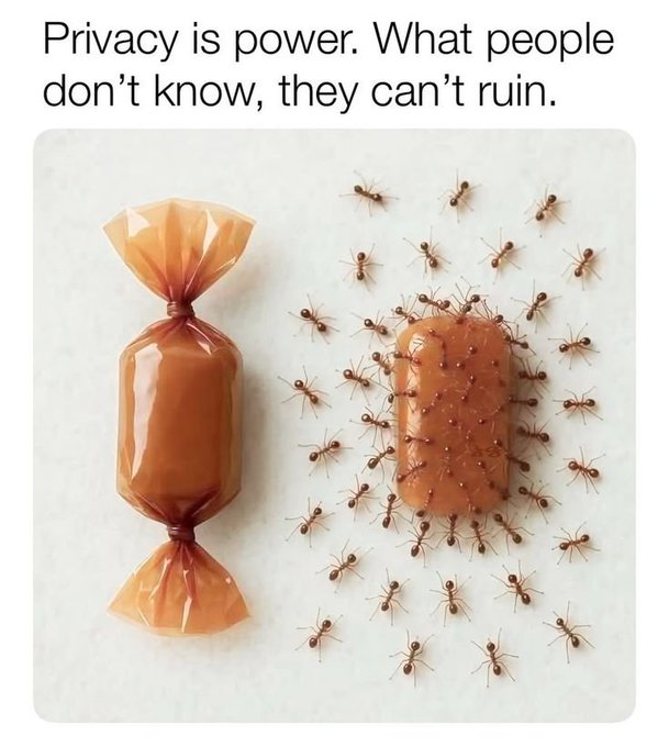 A visual comparison illustrating 'Privacy is power,' showing a wrapped candy on the left and an unwrapped candy surrounded by ants on the right.