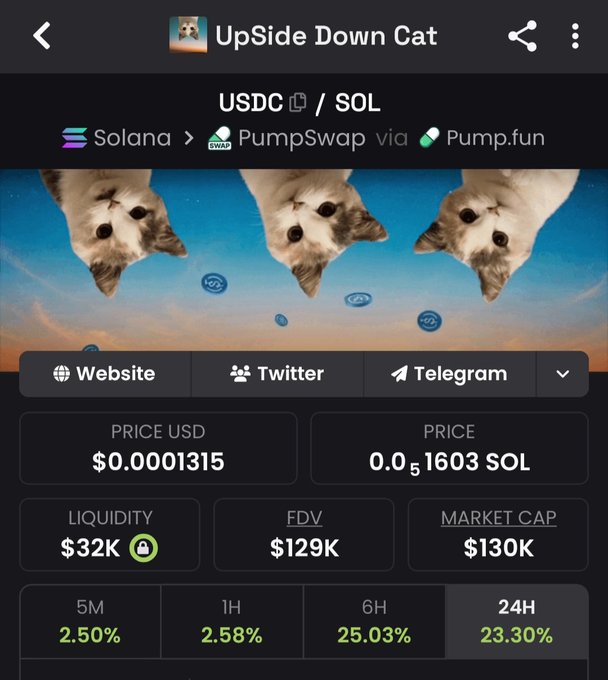 The image features a table with information about three cats, including their names (Upside-Down Cat) as well as some financial data related to them. In particular, there are details regarding cryptocurrency prices for these cats' cryptocurrencies. The table displays the following information: two cat names and their corresponding price in USDC (United States Dollars).