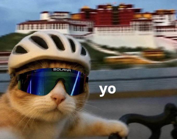 A helmeted cat with blue "SOLANA" sunglasses rides past the Potala Palace, with "yo" displayed beside it, capturing the adventurous, hype energy of Solana's upcoming DeFi residency, global hackathon, and India summit.