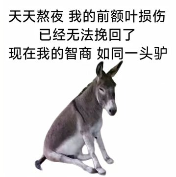 A meme featuring a donkey with Chinese text that translates to 'Staying up late every day, my prefrontal lobe damage is irreversible. Now my IQ is like that of a donkey.'