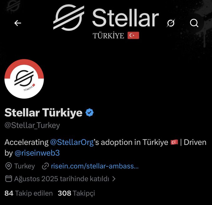 A Twitter/X profile for "Stellar Türkiye" (@Stellar_Turkey) with the description "Accelerating @StellarOrg's adoption in Türkiye | Driven by @riseinweb3" and 308 followers.