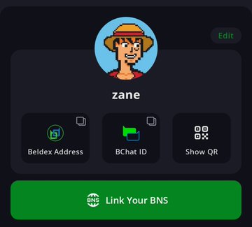 Profile page for 'zane' with an avatar of a man in a straw hat, displaying options for Beldex Address, BChat ID, Show QR, and a 'Link Your BNS' button.