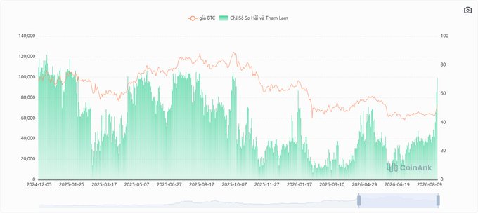 Financial chart from CoinAnk displaying BTC price data ('giá BTC' in Vietnamese) with bar charts and an overlaid price line spanning from December 2024 to August 2026.
