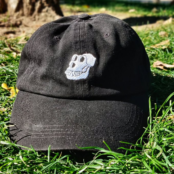 The image features a black baseball cap with a white skull design on it, placed on top of some grass. There are no other objects or people visible in the scene. The caption "bored ape yacht club" suggests that this hat might be associated with a particular group or event related to sailing or boating. However, without more context, we cannot determine if there is any connection between the hat and the yacht club.