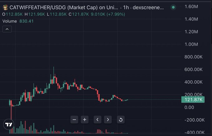 A 1-hour candlestick chart on DexScreener shows the CATWIFFEATHER/USDG pair trading at 121.87K with a +7.99% gain, displaying a potential double-bottom pattern that the poster highlights as a bullish setup for the meme token.