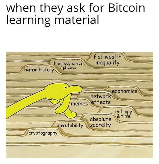 A Simpson's meme pointing to "economics" labeled "when they ask for Bitcoin learning material," illustrating how researching Bitcoin leads down a rabbit hole spanning concepts like thermodynamics, cryptography, scarcity, and network effects—fitting the post's "Get ready for that rabbit hole" message.