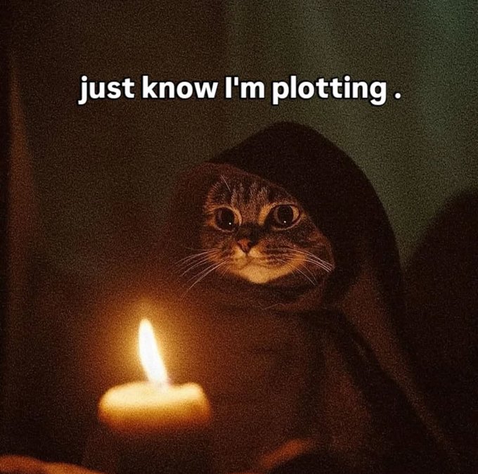 A humorous meme featuring a tabby cat wearing a dark hooded cloak, lit by a single candle in a dark setting, with the caption 'just know I'm plotting .'