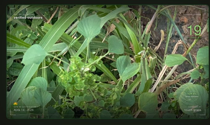 A photograph of grass and plants with overlay text reading 'PROOF OF OUTDOORS verified outdoors', 'DAY 19', 'DATE OF CERTIFICATION AUG 14, 2026', 'TOP 5% GRASS TOUCHING', and 'CERTIFIED BY touch grass'.