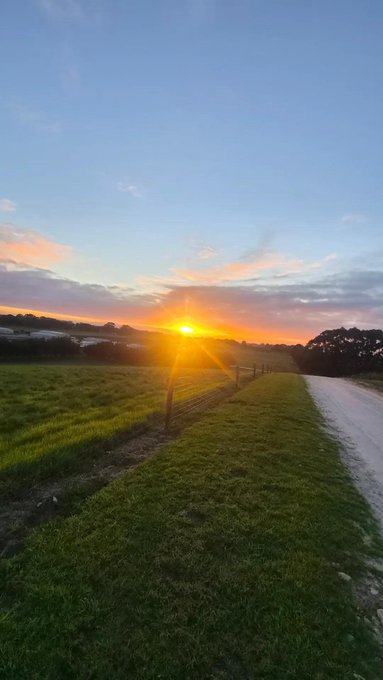 A scenic landscape photo of a sunset with the sun low on the horizon over a grassy field, with a dirt path and fence line leading into the distance.