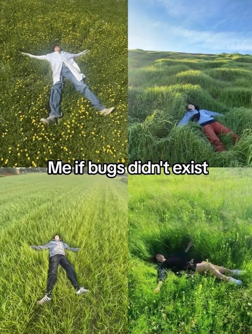 The image features a collage of four photos, each depicting a person lying down in a field with their arms outstretched as if they are flying or enjoying the outdoors. The first photo shows a person laying on their back in a grassy field, while the second photo captures another individual doing the same pose. The third photo displays yet another person lying on their stomach in the same field, and the fourth photo features an additional person lying down with their arms outstretched as if they are flying or enjoying the outdoors.

The post caption reads: "Me if bugs didn't exist". This phrase is likely a playful reference to the fact that people often lie down in grassy fields to avoid insects like mosquitoes, flies, and other pests. The image serves as a lighthearted reminder of how we can find enjoyment and relaxation even when faced with potential inconveniences or challenges.