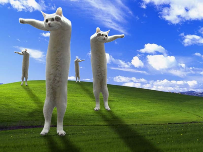 Four elongated white cats stand upright on their hind legs on the iconic "Bliss" green hill under a blue sky, striking poses reminiscent of a meme format, humorously visualizing the "LONG" (long position) theme in the post pairing LONGcat with NVDA 3x LONG (a leveraged bullish NVIDIA ETF).