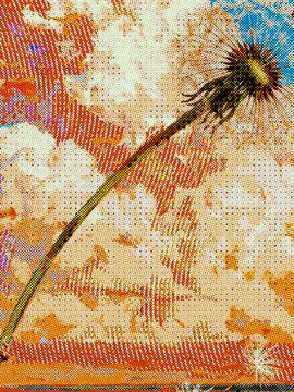A close-up of a long, thin plant stem ending in a spiky, dark green and purple bud, set against a colorful, textured, mixed-media background of orange, blue, and white.