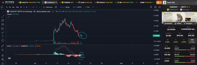 A TradingView chart of $CASHCAT/WETH shows a 4-hour candlestick pattern forming a hammer (circled in teal) as the MACD indicator below approaches a bullish crossover (also circled), suggesting potential upward momentum on the other side of this technical setup.