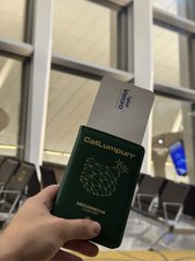 A hand holds a green Irish passport displaying the word "CatStanbul" on the cover, cleverly referencing the "CatStanbul" stop mentioned in the post. The setting appears to be an airport terminal, fitting the travel context of a half-day layover before the Solana summit.