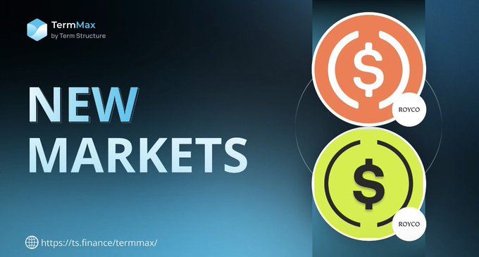 A promotional banner for 'TermMax by Term Structure' announcing 'NEW MARKETS' with 'ROYCO' coin icons (orange and yellow) on a blue gradient background, linking to https://ts.finance/termmax/.