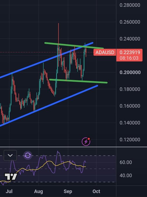 A TradingView candlestick chart of ADA/USD showing a price of 0.223919 with two key technical levels — a descending blue trendline and horizontal green support/resistance lines converging near 0.22 — illustrating the critical resistance zone the post highlights for ADA's weekly close.
