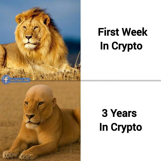 A meme comparing two lions, with the top labeled "First Week In Crypto" showing a majestic, full-maned lion (watermarked "Daily Crypto Vibes"), and the bottom labeled "3 Years In Crypto" depicting a maneless, weathered lion.