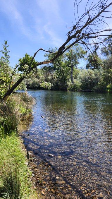 A serene nature photograph of a clear, shallow river with a rocky/pebbled bottom, surrounded by lush green trees and grass, with a partly cloudy blue sky overhead.