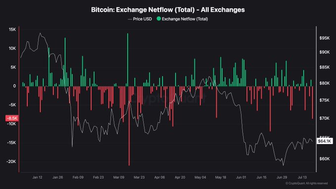 Bitcoin Exchange Netflow chart showing total inflows and outflows across all exchanges from January to July, with the current netflow at -8.5K and BTC price at $64.1K.
