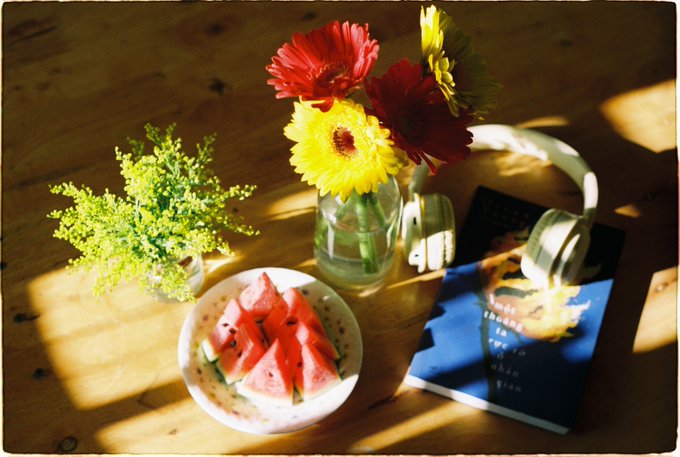 A wooden table is bathed in warm sunlight, displaying a plate of sliced watermelon, a vase with red and yellow flowers, a small potted plant, and a book.