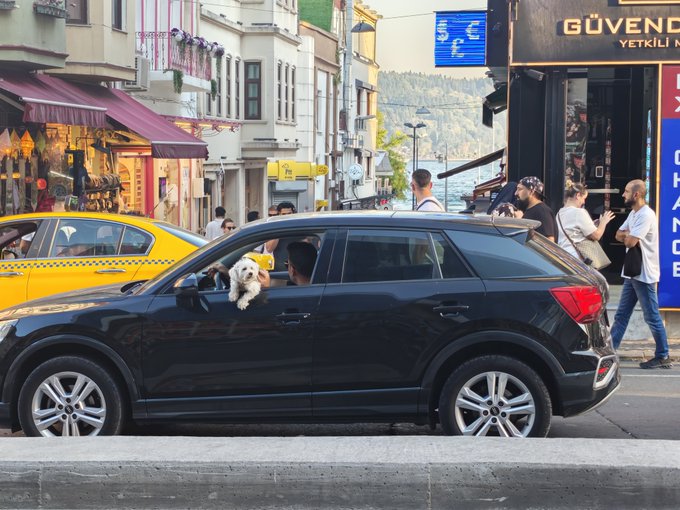 A black SUV drives through a busy street with a small white dog poking its head out the window, while a yellow taxi and pedestrians are visible in the background near shops with Turkish signage like 'GÜVEND'.