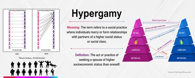 The image shows a poster with a diagram of a pyramid, which has been labeled "HYPERGAMY" at the top. Below this, there are two columns of text providing information about the term "HYPERGAMY". The first column explains that "HYPERGAMY" refers to a social practice where individuals form relationships with each other based on their shared economic status and interests. The second column provides an example of how this practice works in real life, stating that it is used by people who are economically similar or have common goals.