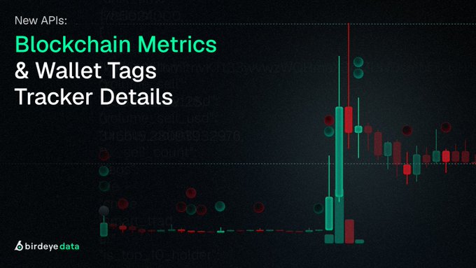 Promotional graphic for Birdeye Data announcing new APIs: "Blockchain Metrics & Wallet Tags Tracker Details" with a candlestick chart background.