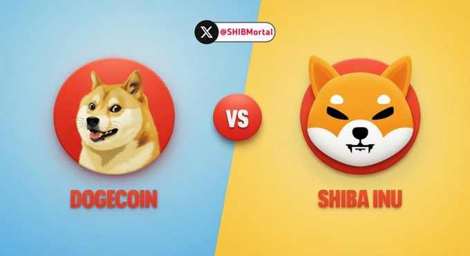 The image features a split-screen comparison with Dogecoin ($DOGE) represented by its Shiba Inu dog mascot on the left (blue background) and Shiba Inu ($SHIB) represented by its fox-like logo on the right (yellow background), separated by a "VS" badge and tagged with @SHIBMortal. This visual perfectly complements the post's question asking which meme coin viewers are more bullish on.