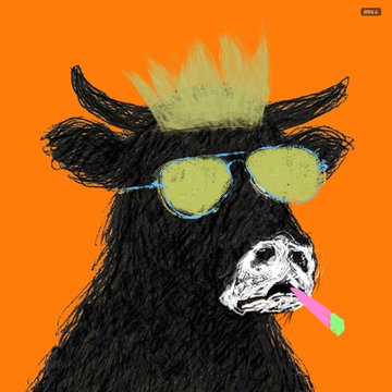 An illustration of a black cow with a yellow mohawk and green sunglasses, licking a colorful popsicle against an orange background.