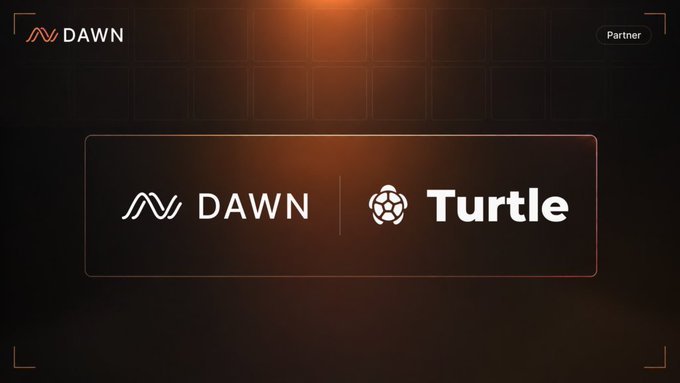 A promotional partnership banner featuring the "DAWN" and "Turtle" (turtledotxyz) logos side-by-side on a dark background, highlighting their collaboration to bring sUSD.infra vaults to Turtle's on-chain yield management platform.