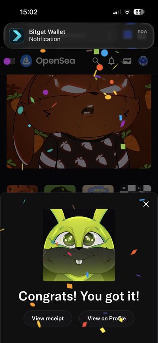 A mobile screenshot showing an OpenSea "Congrats! You got it!" notification with a green cartoon bunny NFT displayed, while a Bitget Wallet notification appears at the top—relating to the user's confusion about not finding their newly minted NFT in their connected wallet.