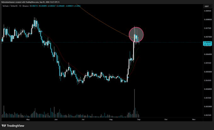 A daily candlestick chart of VeChain ($VET/USDT) on Binance shows a sharp rally from ~$0.0045 in August to ~$0.0068 in early September (circled), with price currently pulling back to the $0.0066 horizontal level, corresponding to the post's observation of the token reaching bear-trend resistance. Volume surged on the pump candle and then dropped sharply, reinforcing the need for reaccumulation before any continuation higher.