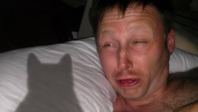A close-up photo shows a shirtless man lying in bed, his face appearing flushed and exhausted, with a shadow of a cat's silhouette cast on the pillow beside him. The image accompanies a casual "Gm" (good morning) post and a Solana wallet address, suggesting the man may be a crypto trader sharing a humorous morning snapshot alongside his contact info.