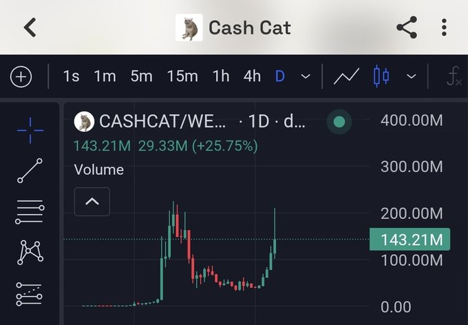 A TradingView chart of CASHCAT/WETH token showing the daily candle up 25.75% with volume at 143.21M.