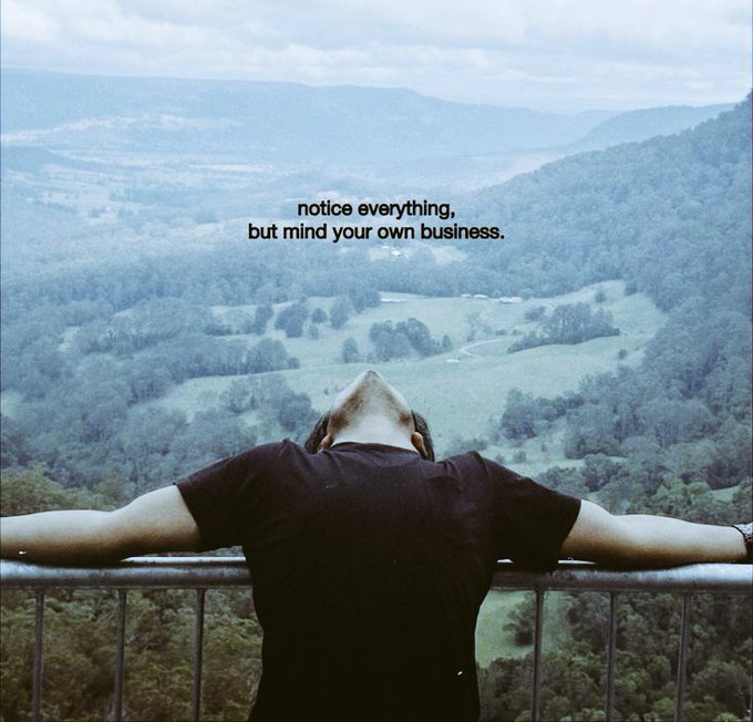 The image shows a man standing at the top of a metal railing with his arms outstretched, overlooking a beautiful mountain landscape. The caption above him reads "Notice everything, but mind your own business," which seems to be a reference to the importance of being aware and mindful in various aspects of life while also focusing on one's own goals and priorities.