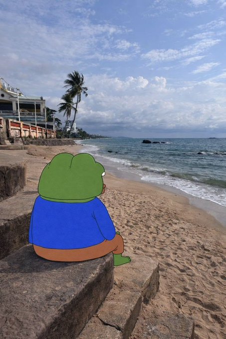 A digitally inserted cartoon green frog character wearing a blue sweater sits on a stone ledge overlooking a tropical beach with palm trees and ocean waves.