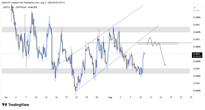 A TradingView chart of USOT.D (CRYPTOCAP) showing a price of 8.451% with an ascending channel pattern, resistance zones, and a projected downward breakout.